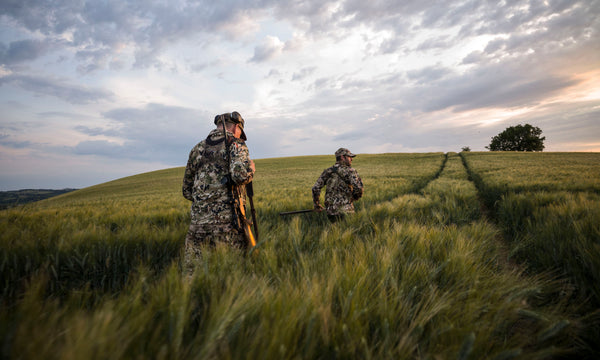 Roe Deer Hunting Essentials